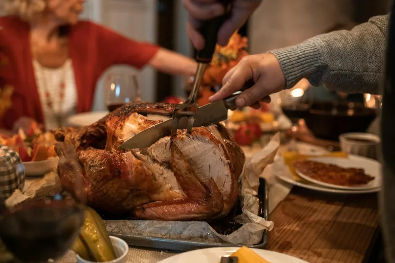 The Holiday Bird That Hijacked Thanksgiving Through Magazine Ads and Government Propaganda